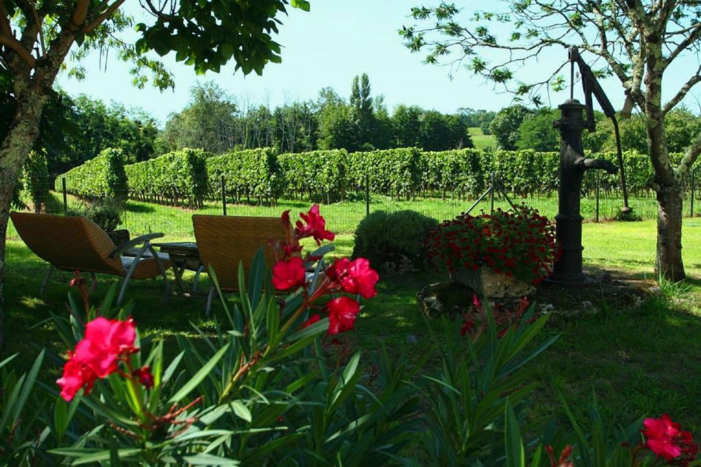 Bed and Breakfast Bleu Raisin Les Salles-de-Castillon Exterior foto